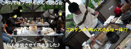 bafb3467.JPG