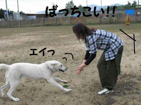 CIMG4967.JPG