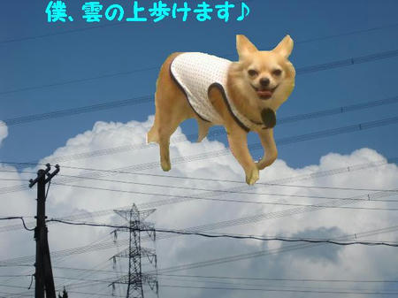 799655c3.JPG