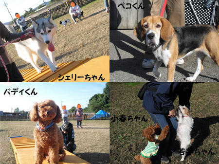 57bbb790.JPG
