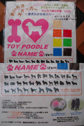 725c5540.JPG