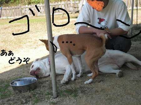 CIMG6035.JPG