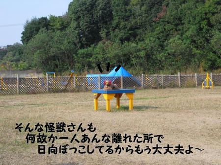 CIMG6083.JPG