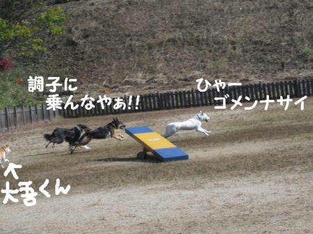CIMG6826.JPG