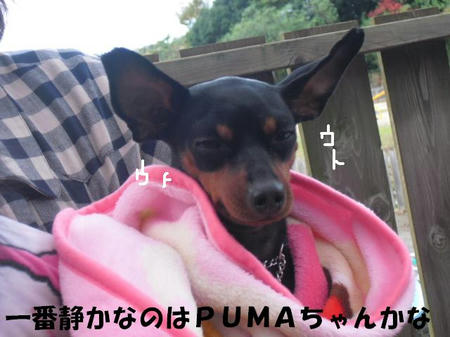 CIMG6925.JPG