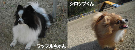 0c784509.JPG