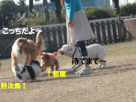 3aeee62f.jpg