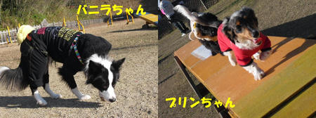 77f3b181.JPG