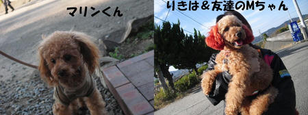 5a38a2a2.JPG