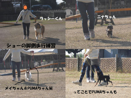 610b80db.JPG