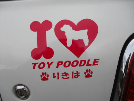 2a499211.jpg