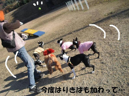 33338fdf.jpg