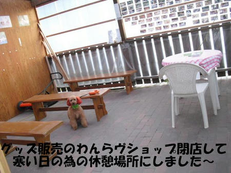 5a8119d0.jpg