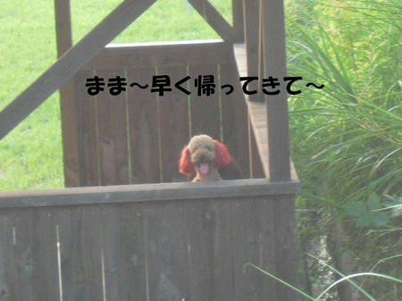 CIMG0807.JPG