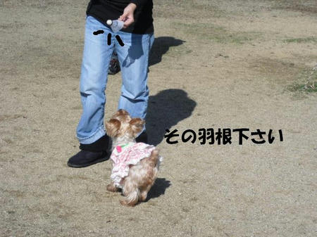 a4c951b3.jpg