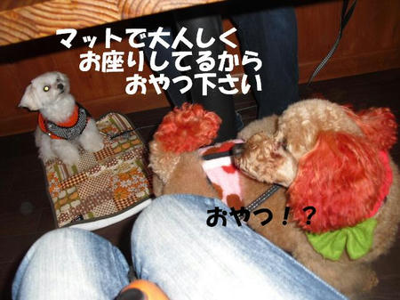 23a1ae6a.jpg