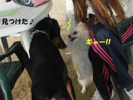fa5c75a4.jpg