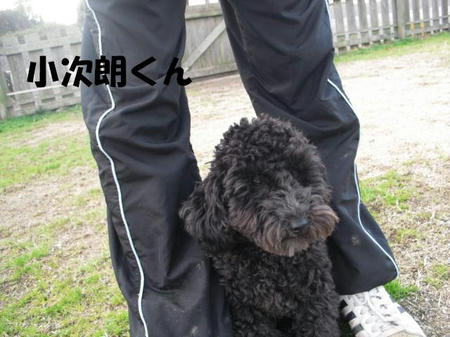 4f8f2e93.jpg