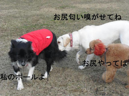 3cfd14fb.jpg