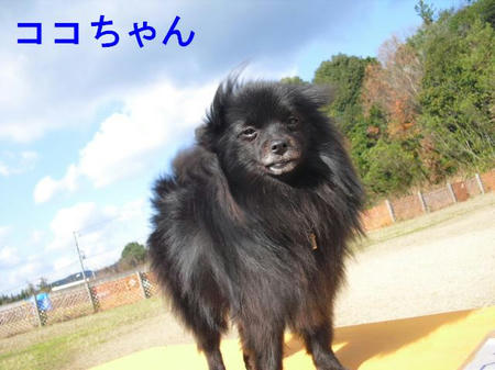 2f6601fe.jpg