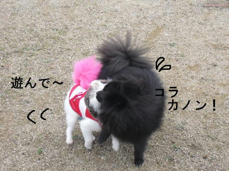 f6592bfc.jpg