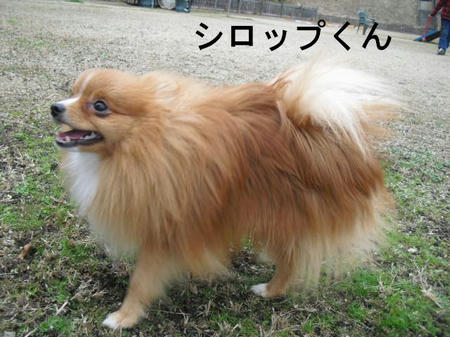 f3bd42fc.jpg