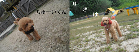 33f7a69e.JPG
