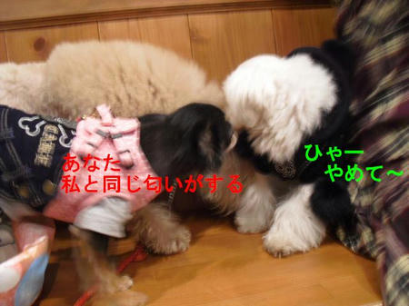 45d4662f.jpg