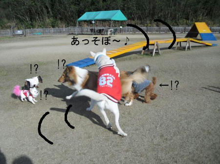 2b2f7d27.jpg