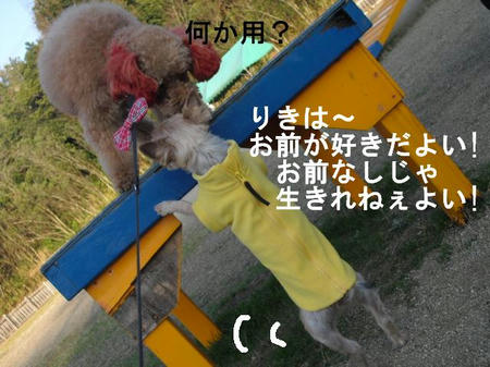 87308b7f.jpg