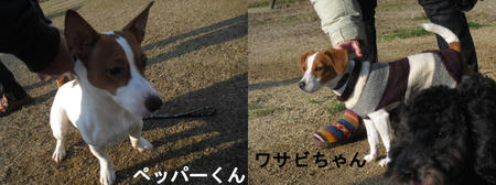ab765a87.JPG
