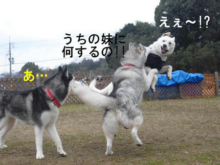 35916947.jpg