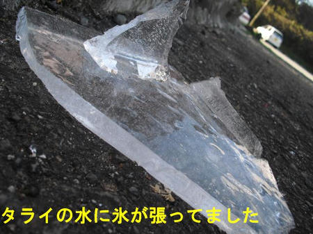 3d3d6005.jpg
