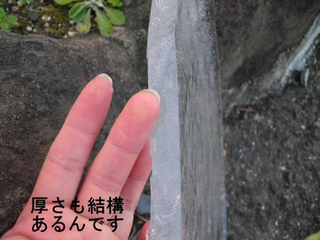 8f816f81.jpg