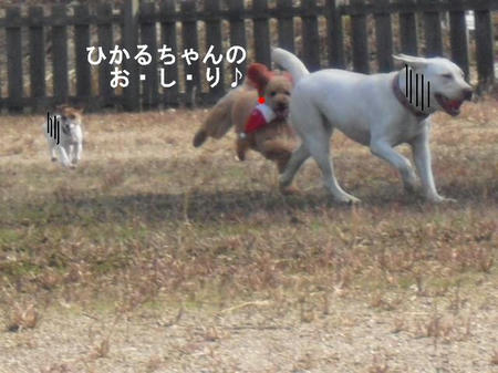 3b67e04f.jpg