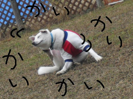 8f7c65c5.jpg