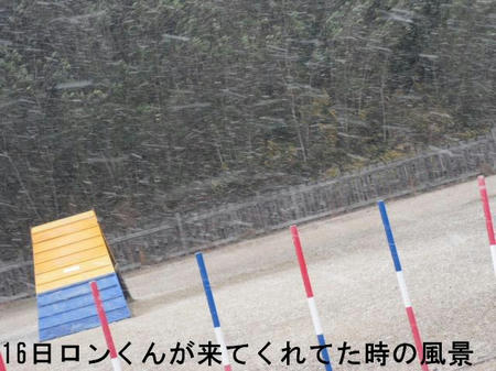 2a655d36.jpg