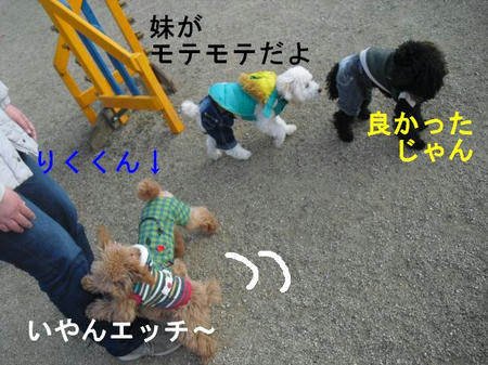 3334c948.jpg
