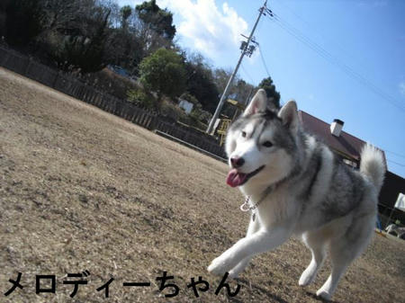 fb7f377f.jpg