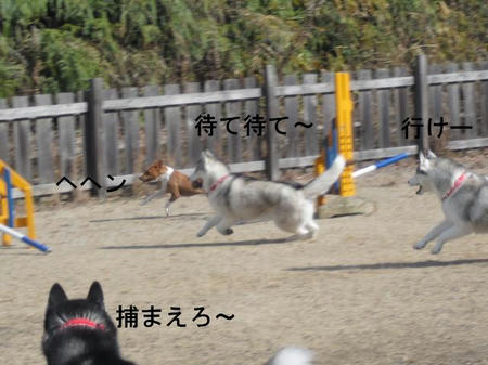 a70ab9f0.jpg