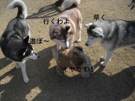0d4460fe.jpg