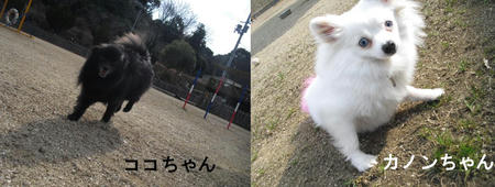 c519a1f0.JPG