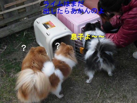 0e686c58.jpg