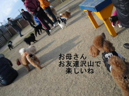 9d2a347a.jpg