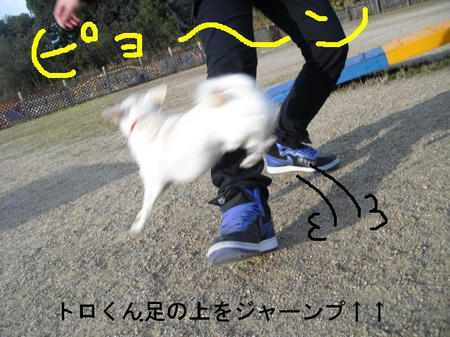 4973892e.jpg