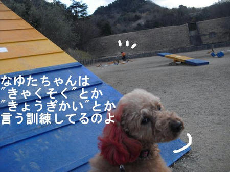 cc82709a.jpg