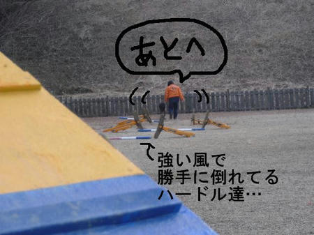 4f0ff039.jpg