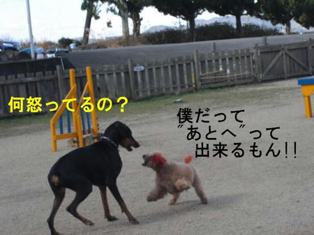 cddcff13.jpg