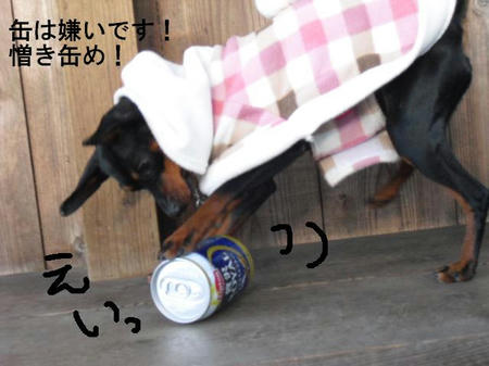 d06ddd01.jpg