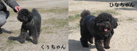 04a2af25.JPG